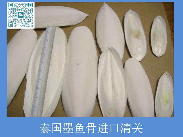 泰國墨魚骨進口清關.jpg