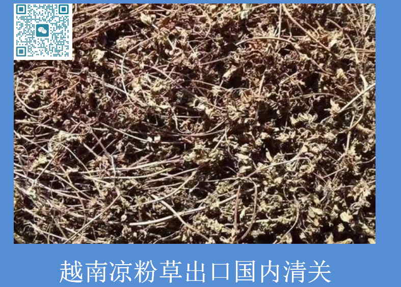 越南涼粉草出口國內清關.jpg