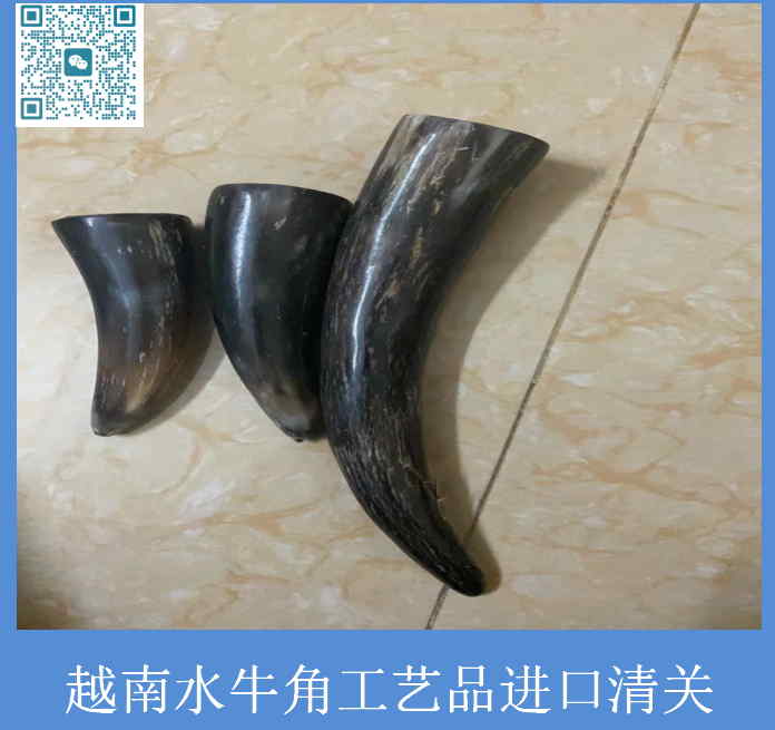 越南水牛角工藝品進口清關.jpg