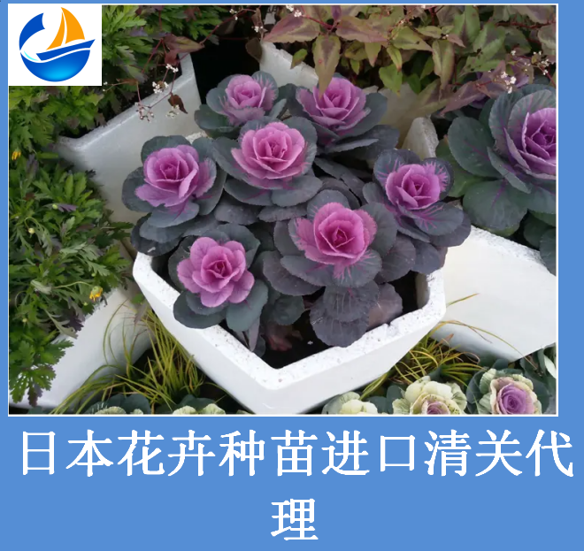 日本花卉種苗進口清關.png