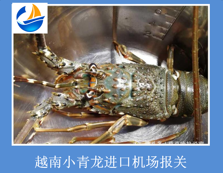越南小青龍進口機場報關(guān).png