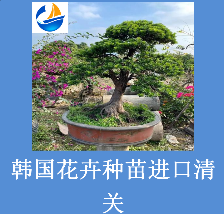 韓國花卉種苗進口清關.png