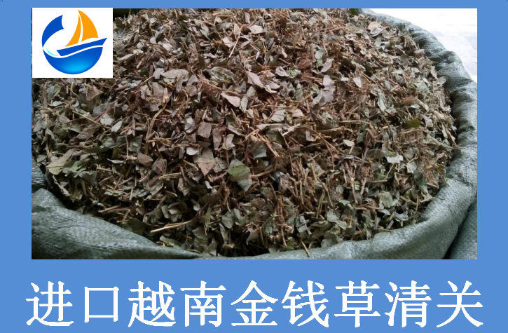 進口越南金錢草清關.png