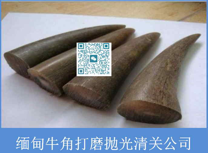 緬甸牛角清關公司.jpg
