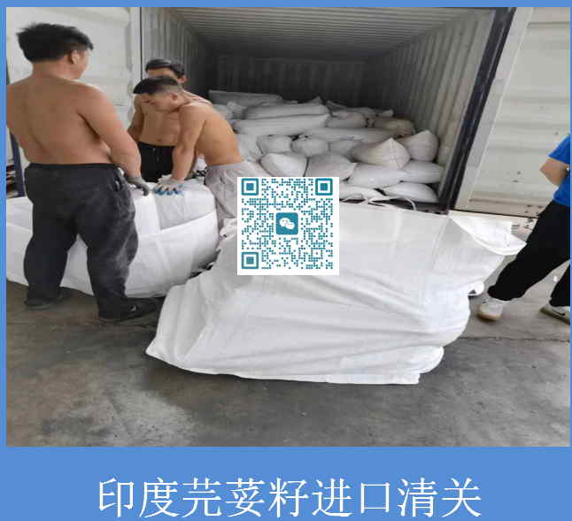 芫荽籽進口清關.jpg